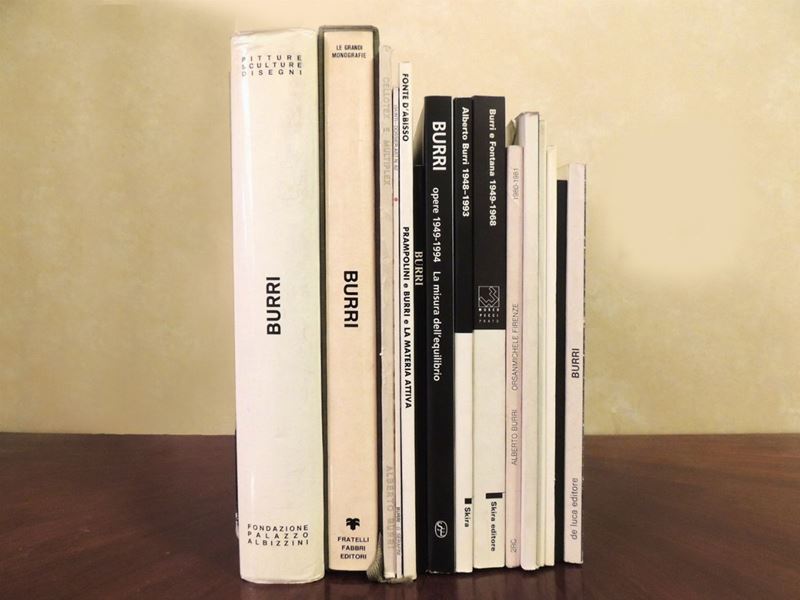 Tredici Libri D'arte su Alberto Burri