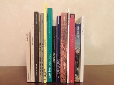 Tredici Libri D'arte Moderna e Contemporanea