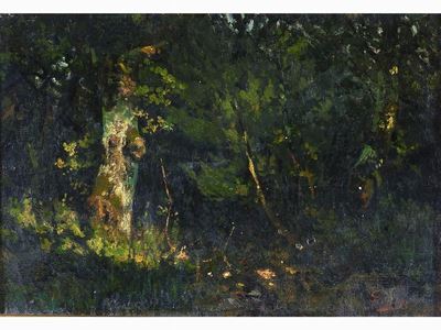 Paesaggio Boschivo
