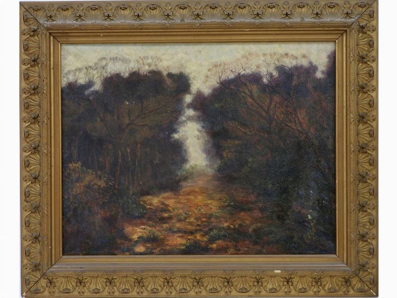 Tito Cavagnaro - Scorcio di Strada Campestre