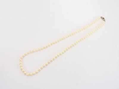 Collana di Perle Coltivate Akoya con Fermezza in Oro Bianco, Diamanti e Rubini