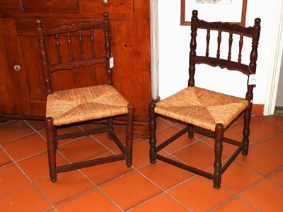 Coppia di Sedie in Noce