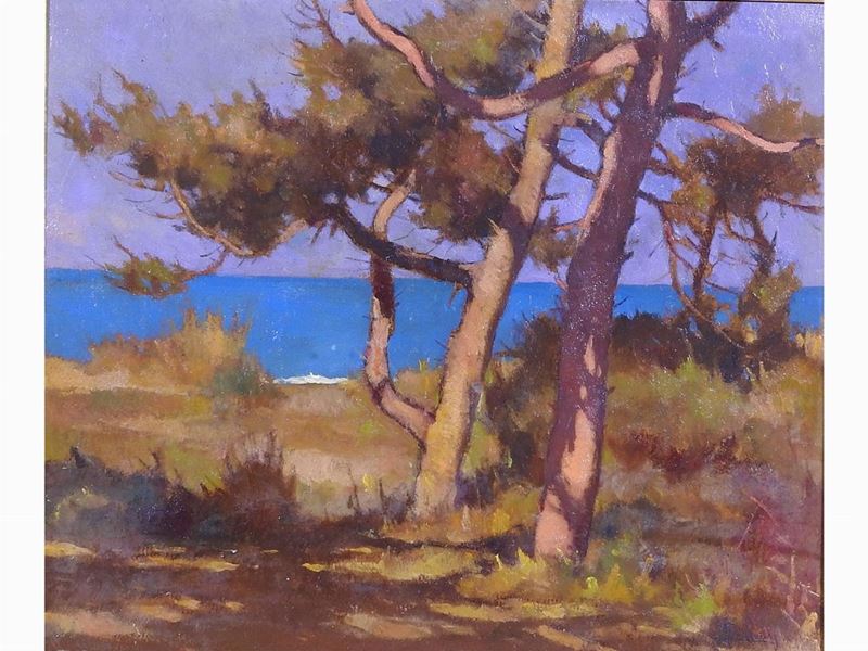 Ludovico Tommasi - Marina Toscana