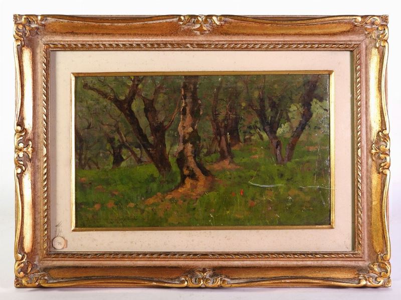 Augusto Rey - Paesaggio Boschivo