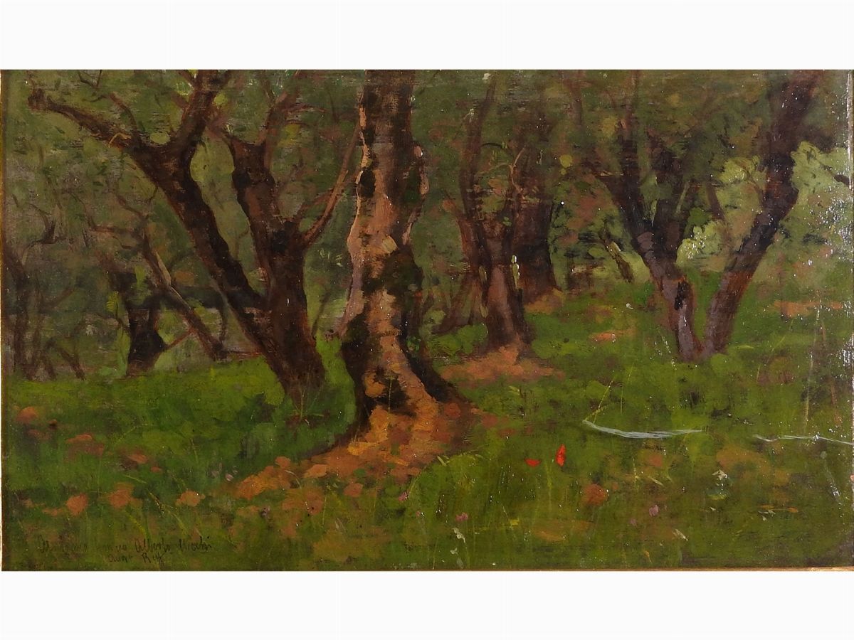 Augusto Rey - Paesaggio Boschivo