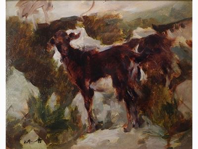 Capretta al Pascolo