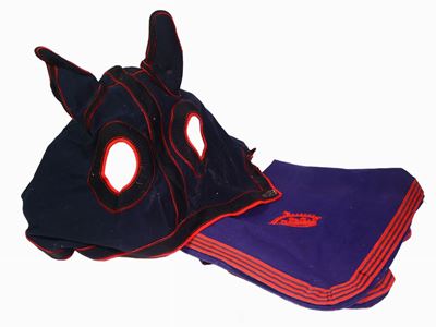 Lotto di Finimenti da Cavallo