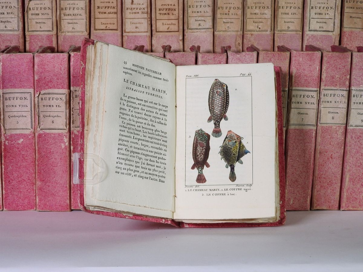 Histoire Naturelle De Buffon, Classée Par Ordre, Genres Et Espèces, D'après le Systeème De Linné
