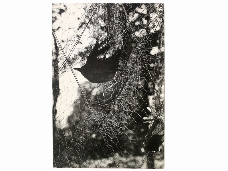 Pepi Merisio - Caccia 1975