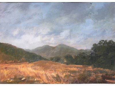 Paesaggio Campestre