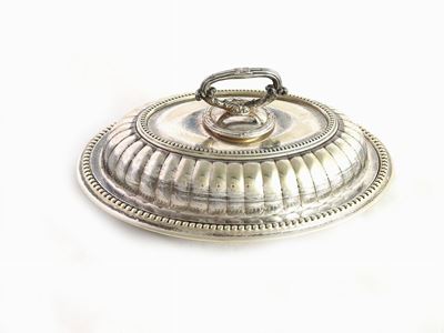 Scaldavivande in Argento