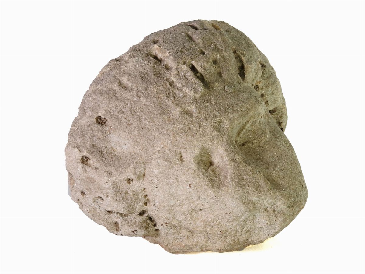 Testa Femminile