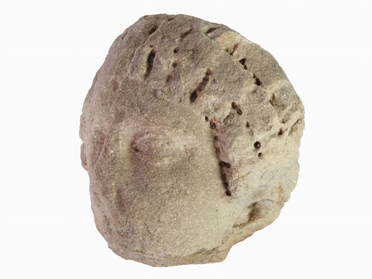 Testa Femminile