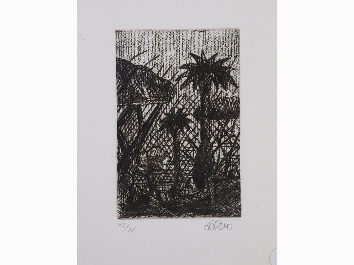 Salvo - Paesaggio