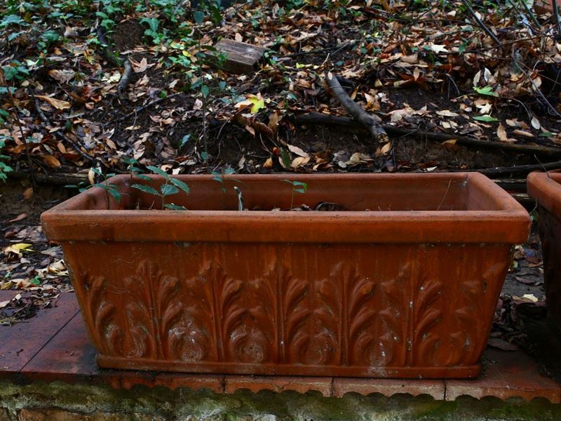 Due Vasi a Cassetta da Giardino