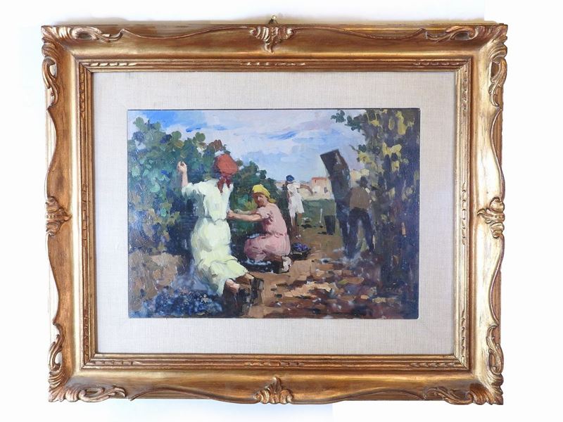 Cafiero Filippelli - Vendemmia