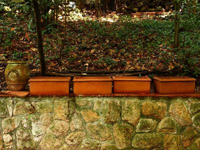Lotto di Oggetti da Giardino