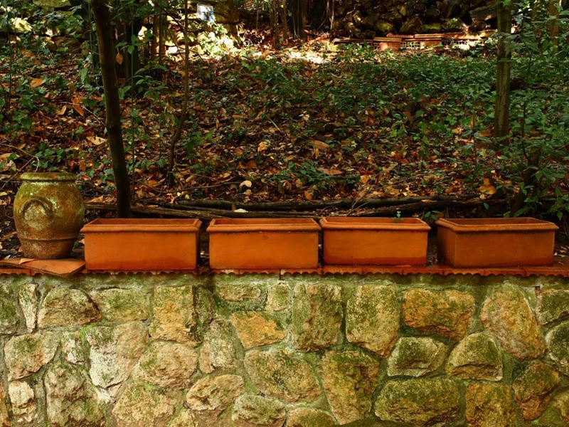 Lotto di Oggetti da Giardino