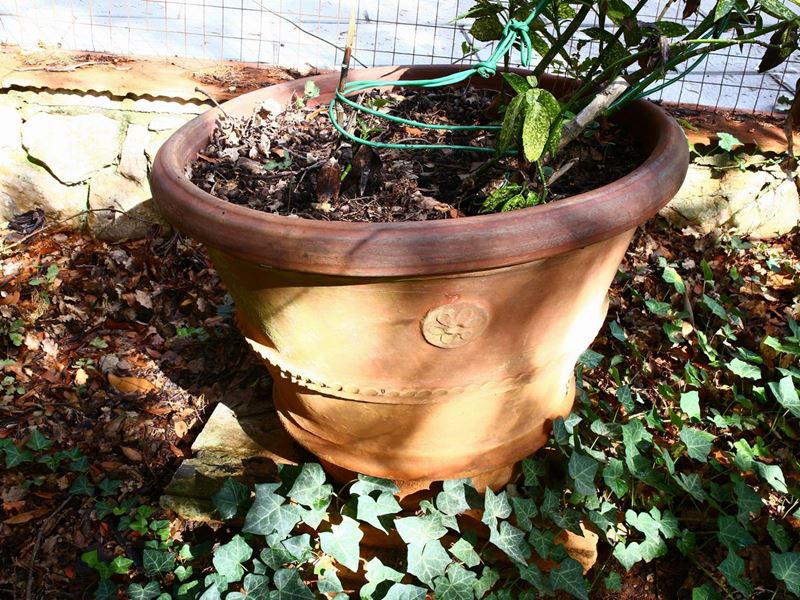 Vaso da Giardino in Terracotta, Manifattura Bitossi