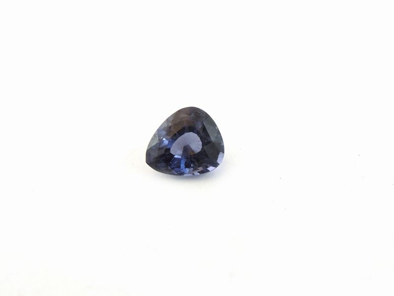 Spinello Lilla