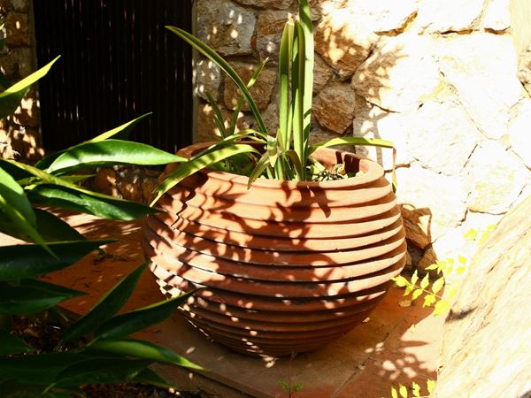 A Terracotta Vase