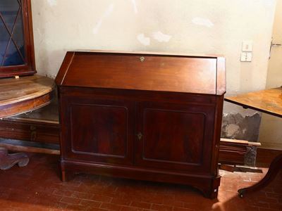 Trumeau Impiallacciato in Piuma di Mogano