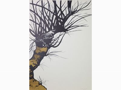 Albero