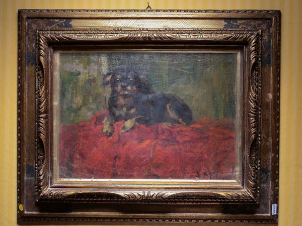 Alessandro Milesi : Portrait of a Dog  ((1912-1969))  - Auction House Sale: Furniture and Paintings from Villa Roseto  - Florence - II - II - Maison Bibelot - Casa d'Aste Firenze - Milano