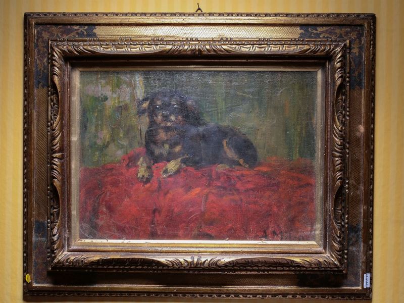 Alessandro Milesi - Ritratto di Cagnolino