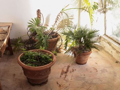 Tre Vasi da Giardino in Terracotta