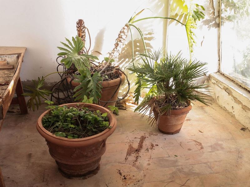 Tre Vasi da Giardino in Terracotta