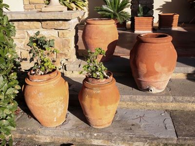 Quattro Orcetti da Giardino