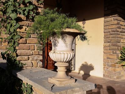 Coppia di Vasi Medicei da Giardino in Marmo