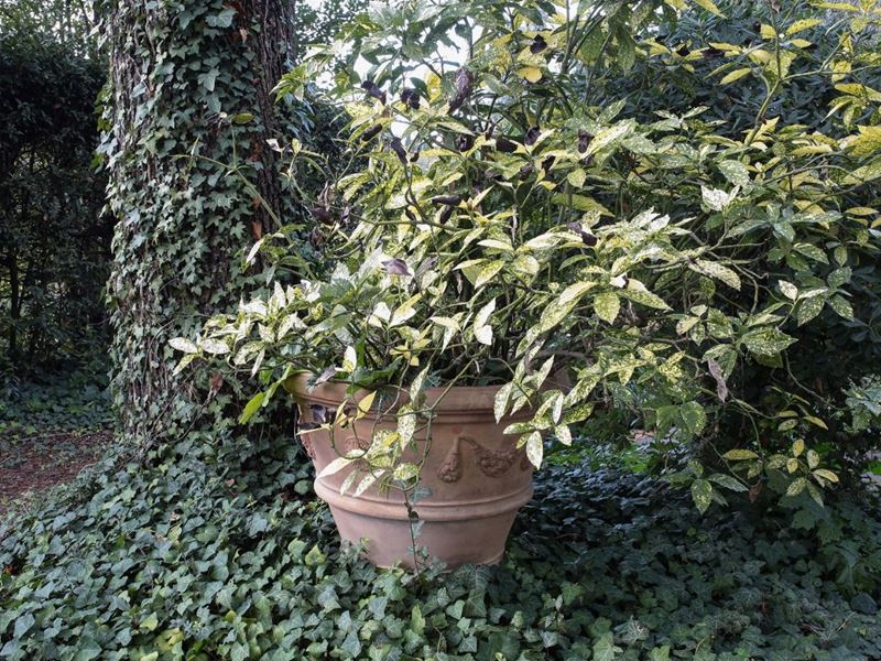 Vaso da Giardino in Terracotta