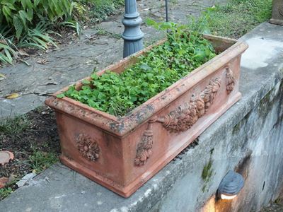 Vaso da Giardino a Cassetta in Terracotta