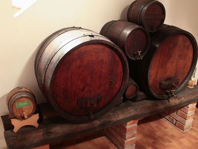 Sei Botti in Rovere e Altri Legni