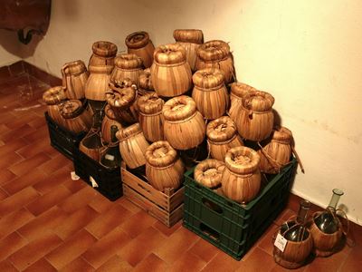 Lotto di Curiosità