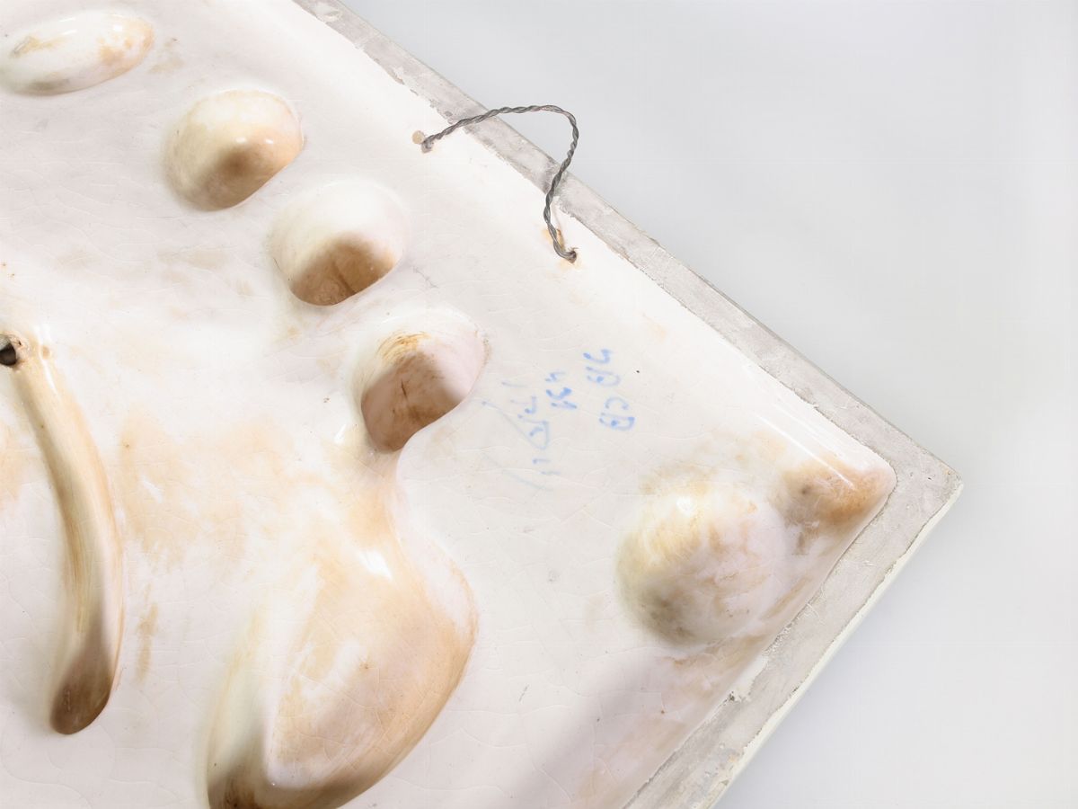 Placca in Ceramica Smaltata