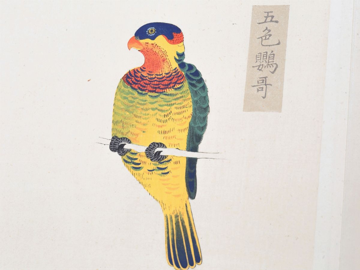 Da Yanagisawa Kien - Ryurikyo Choruifu (album di Uccelli di Ryurikyo)