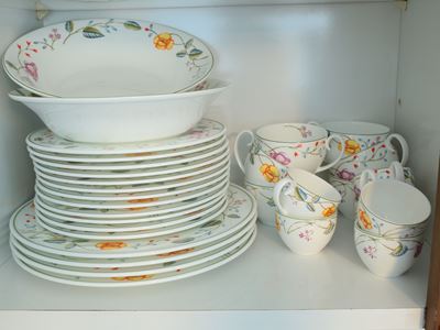 Servito di Piatti per Cene a Buffet in Porcellana, Schonhuber Franchi
