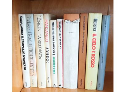 Lotto di Libri di Narrativa Italiana del Novecento