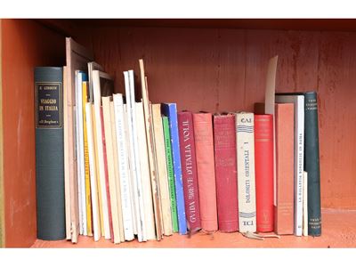 Lotto di Guide Turistiche e Libri di Viaggio