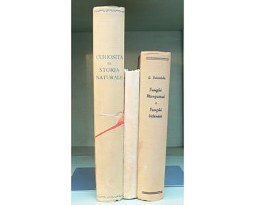Lotto di Libri di Storia Naturale