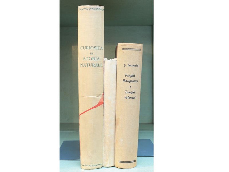 Lotto di Libri di Storia Naturale