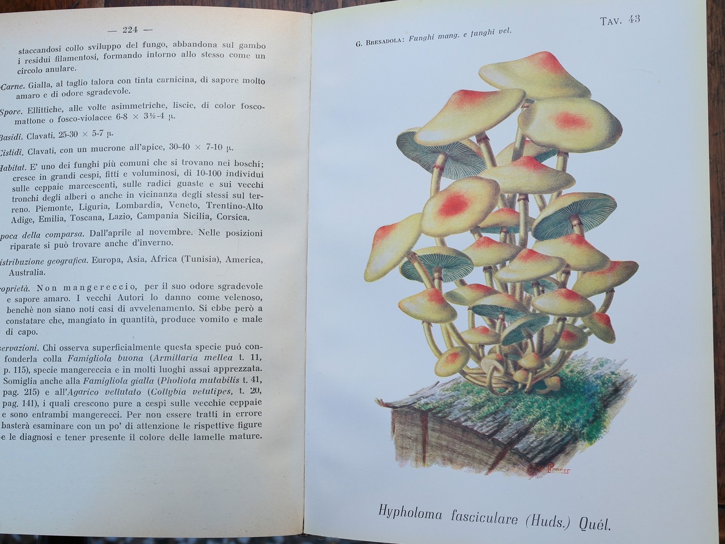 Lotto di Libri di Storia Naturale