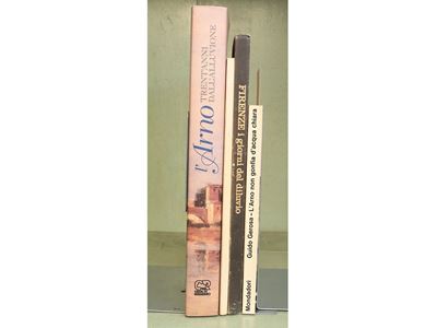 Lotto di Libri Sull'arno e L'alluvione di Firenze