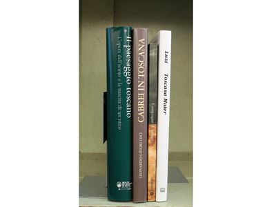 Lotto di Libri D'arte sulla Toscana