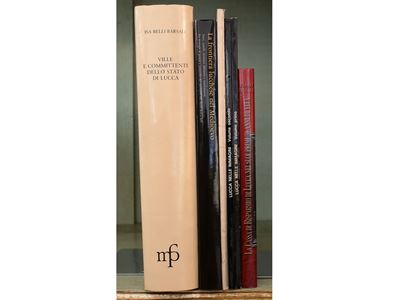 Lotto di Libri su Lucca, tra Arte e Storia