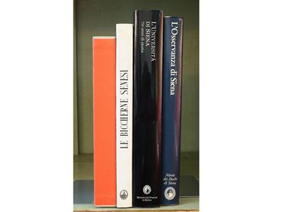 Lotto di Libri su Siena