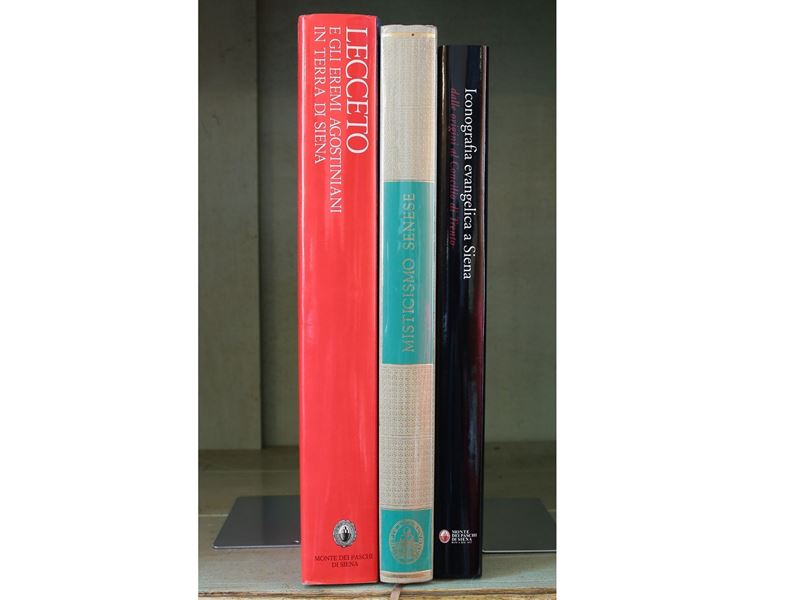 Lotto di Libri su Siena